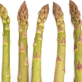 https://noursefarms.com/themes/nf/resources/img/home_page_products/asparagus%20main.jpg