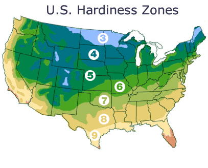 U.S. Hardiness Zones